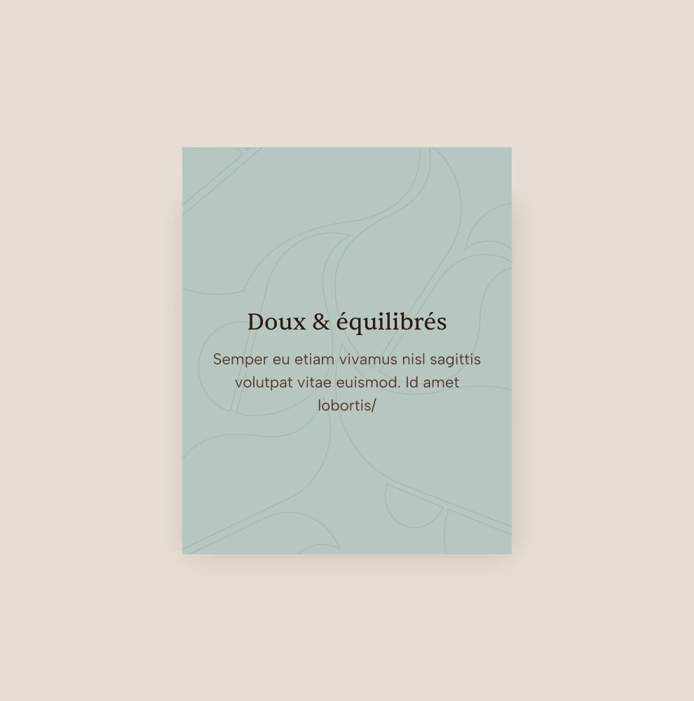 Carte produit au survol